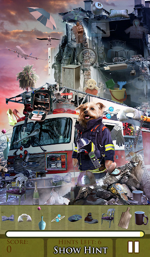 Hidden Object - Working Dogs