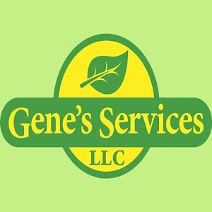 Genes Landscaping, Genesvs.apk 1.404