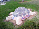 The Turtle Garden 
