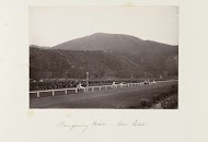 Paardenrace in Hong Kong