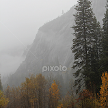 Fall on the Merced River by Patty Hartigan -  