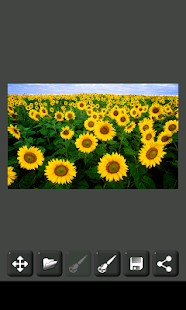 How to get Image Decolorizer patch 1.0.3 apk for bluestacks
