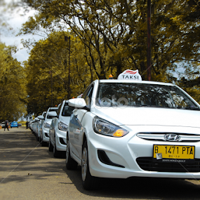 Line of Taxi by Yohanes Julianto - Transportation Automobiles