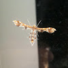 Grape Plume Moth