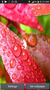 How to mod S6 Rain Drop HD LiveWallpaper patch 1.0 apk for bluestacks