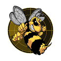 Wasp Repellent icon