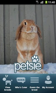 Free Download Rabbits APK for Android