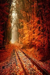 Free Download autumn wallpapers APK for Android