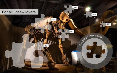 Jigsaw Puzzles: Dallas Screen 2