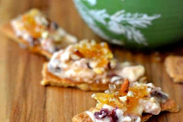 Honey Cranberry Holiday Dip