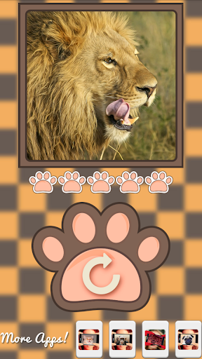 【免費模擬App】What animal am i?-APP點子