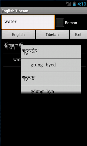 Tibetan English Dictionary