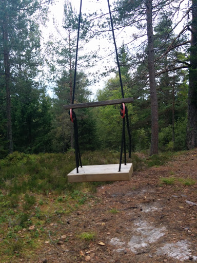Swing In The Wood