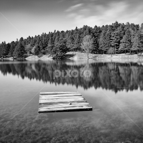 Alone in lake.. by Mustafa Çetinkaya - Landscapes Forests