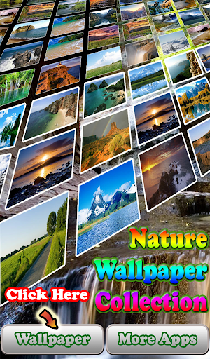 Nature Wallpaper Collection