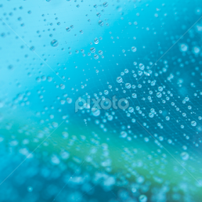 Spider web by Manu K.S - Nature Up Close Webs