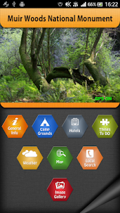 Muir Woods National Monument - náhled