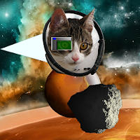 Space War Cats DUMB ASTEROIDS APK ภาพหน้าปก