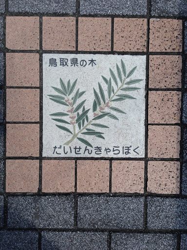 鳥取県の木