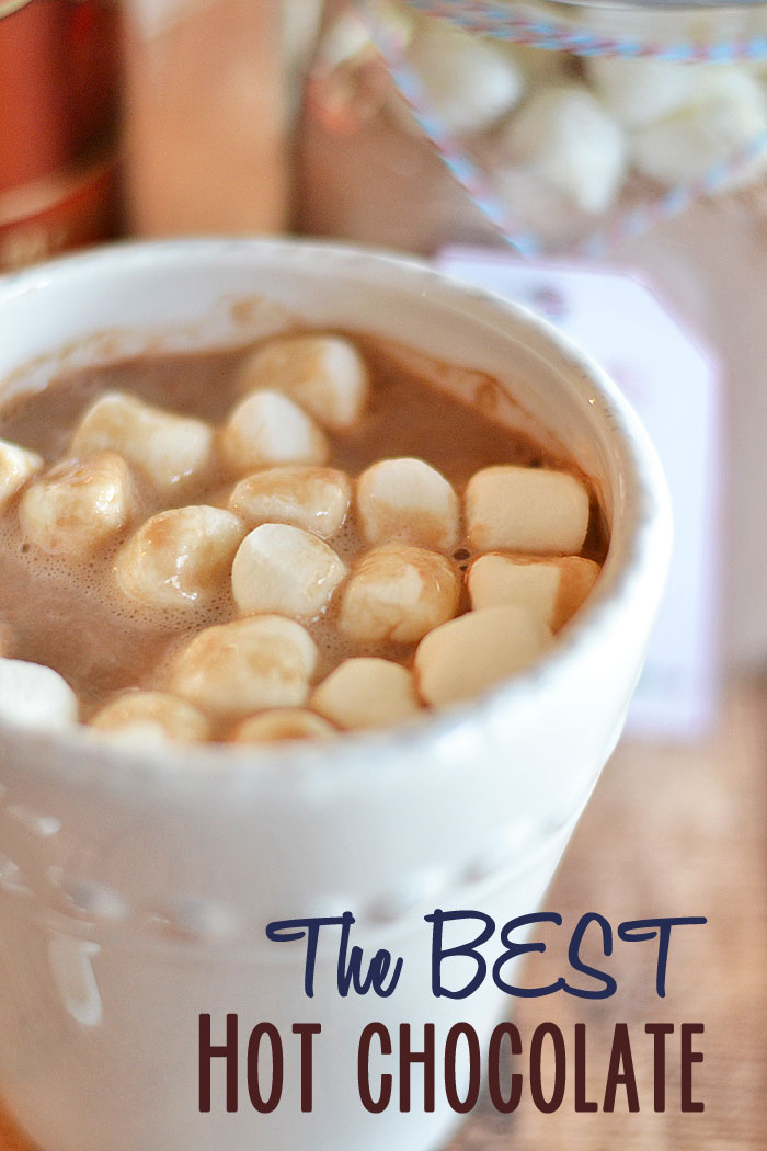 10 Best Hot Chocolate Mix Powdered Milk Recipes