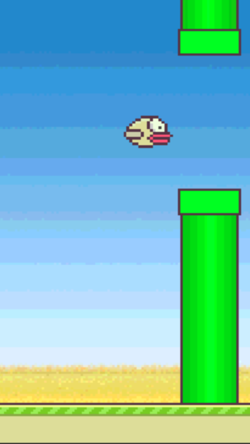Birdy Flapper Screen 2