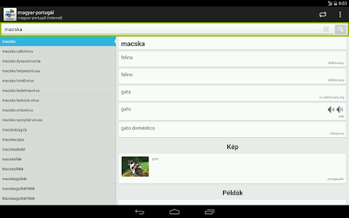 Hungarian-Portuguese Screenshots 8