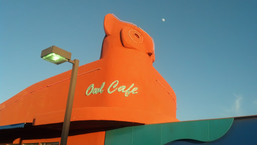 Owl cafe