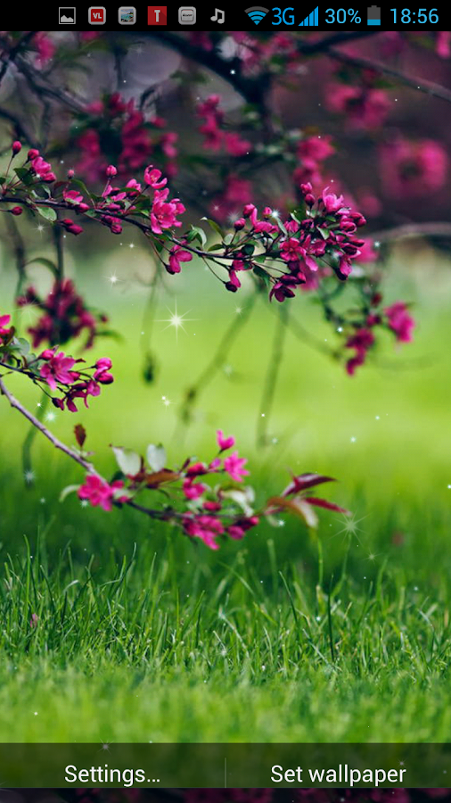 Spring Flowers Live Wallpaper - Android Apps on Google Play