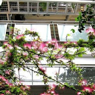 香草菲菲 芳香植物博物館