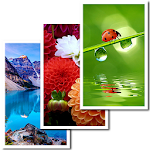 Cover Image of Download Wallpapers HD Backgrounds 14.0 APK