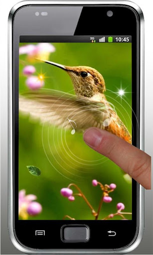 【免費個人化App】Humming Bird Collection LWP-APP點子