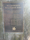 Westborough Minitab Park