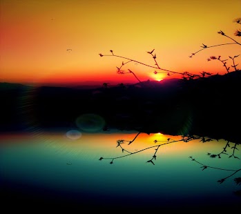 How to install Nature Hd wallpapers 1.1 mod apk for android