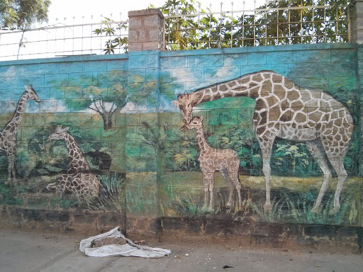 Giraffes Wall Mural