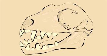 Skull 2