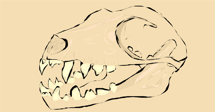 Skull 2