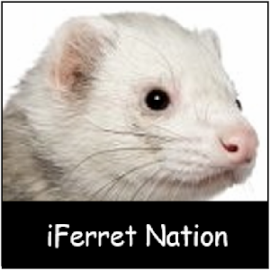 iFerret.apk 2.0