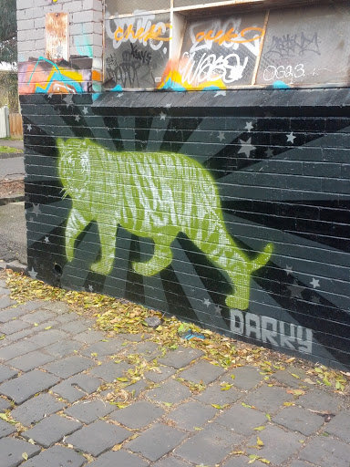 Darky Tiger 