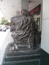 Tianxin Lion