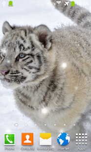 download Little Tiger Live Wallpaper free