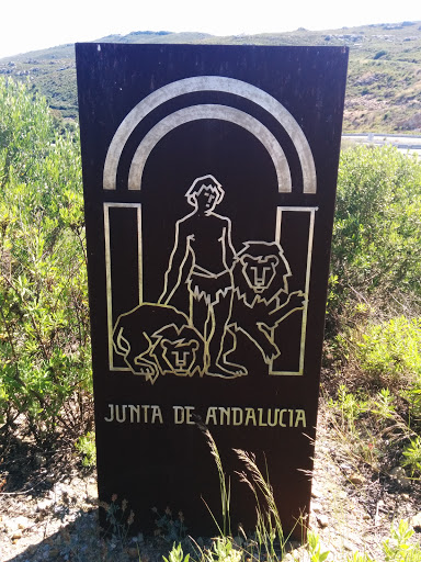 Junta De Andalucia