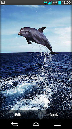 Dolphin Live Wallpaper 6.0 Apk, Free Personalization Application – APK4Now