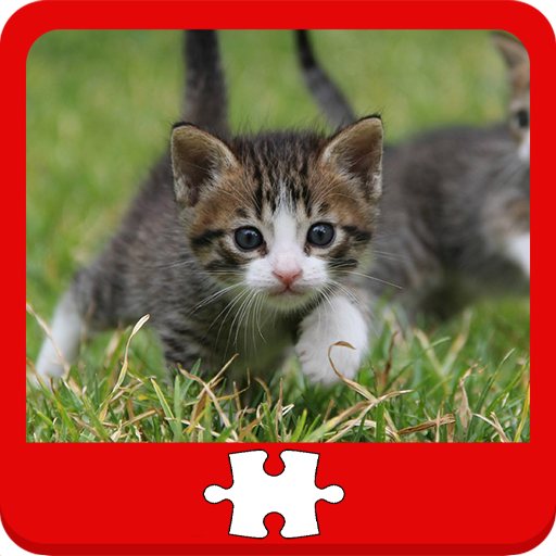 Cats and Kittens Puzzles 解謎 App LOGO-APP開箱王