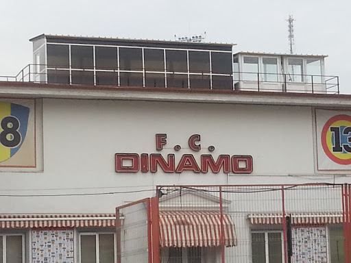 F.C. Dinamo