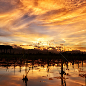by Wildan Syamsuludin - Landscapes Sunsets & Sunrises