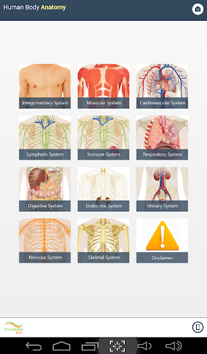 Human Body Anatomy