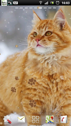 Cat Live Wallpaper