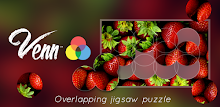 Venn Food: Circle Jigsaw APK