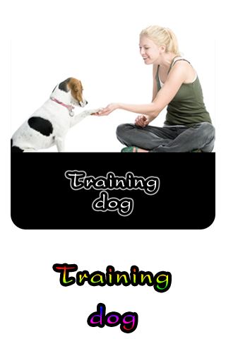 Training dog