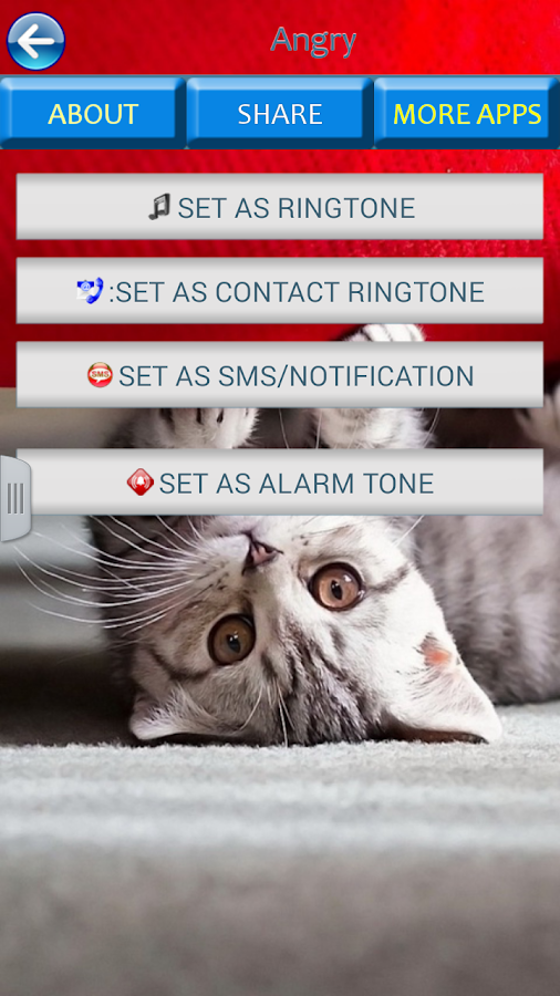 kedi sesleri ve görüntüleri Google Play�de Android Uygulamaları